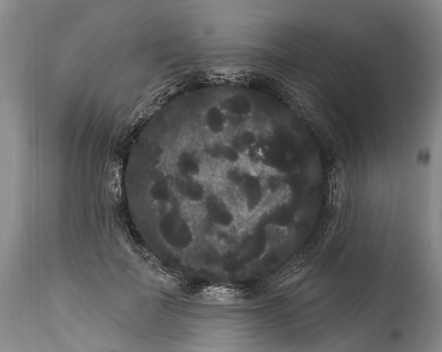 X0000114160699200911051505