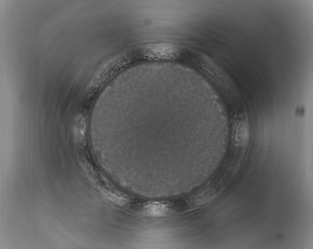 X0000114160701200911051505