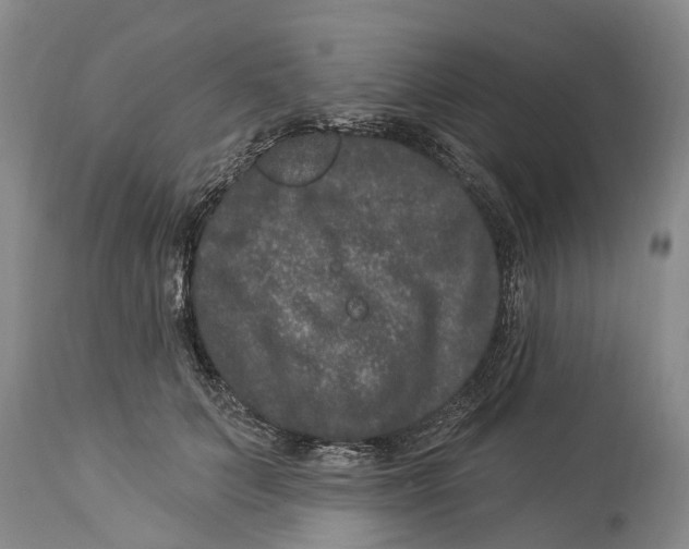 X0000114160703200911051505