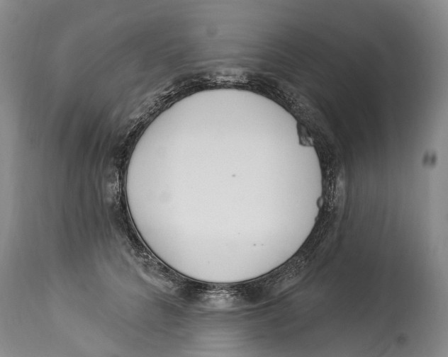 X0000114160704200911051505