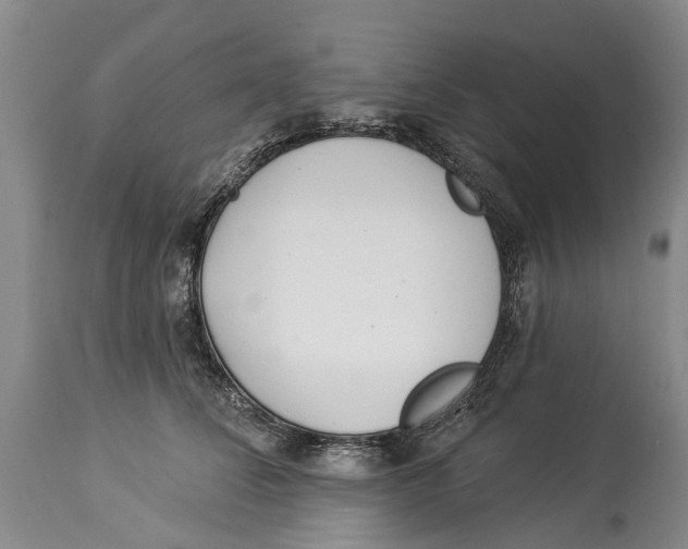 X0000114160708200911051505