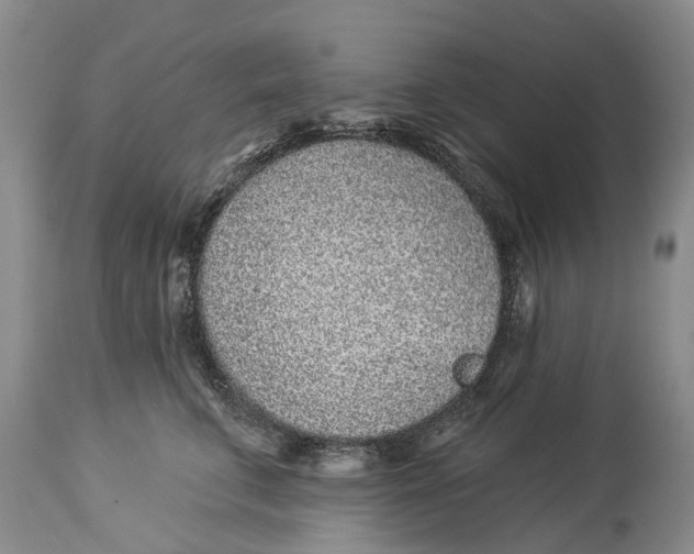 X0000114160711200911051505