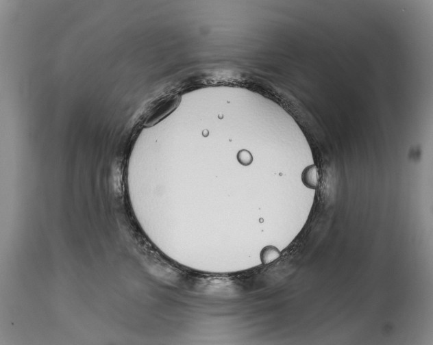 X0000114160715200911051505