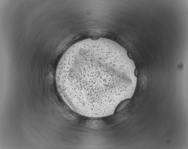 X0000114160716200911051505