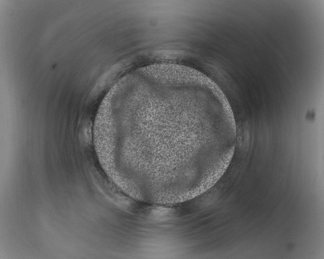 X0000114160718200911051505