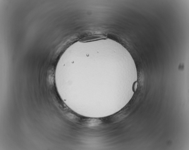 X0000114160719200911051505