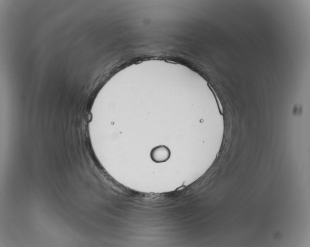 X0000114160720200911051505