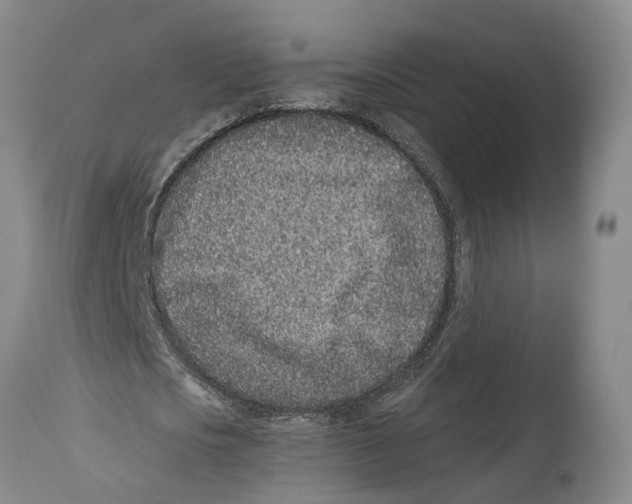 X0000114160721200911051504