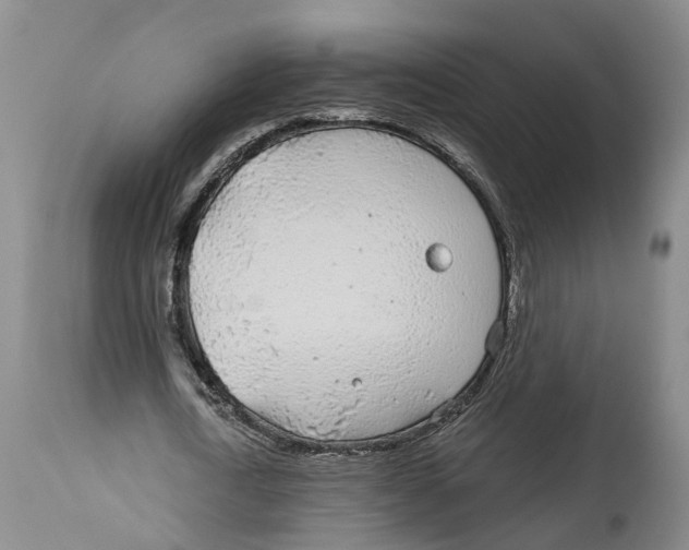 X0000114160722200911051504