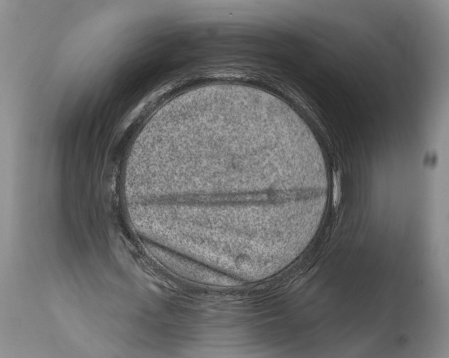 X0000114160723200911051504