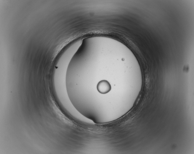 X0000114160725200911051504