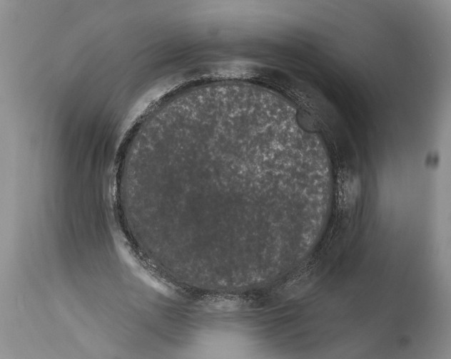 X0000114160726200911051504