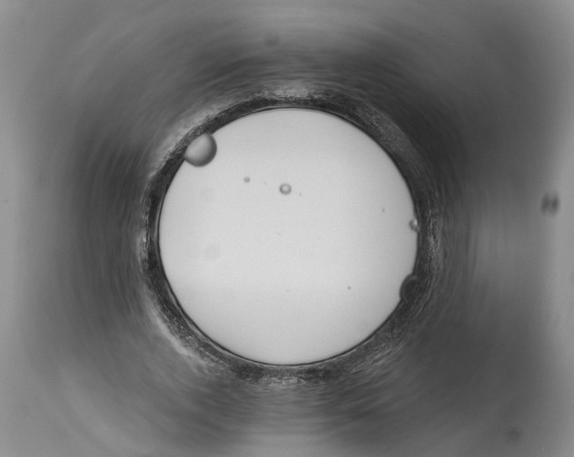 X0000114160728200911051504