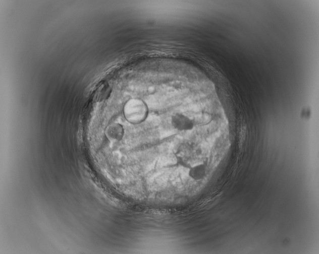 X0000114160729200911051504