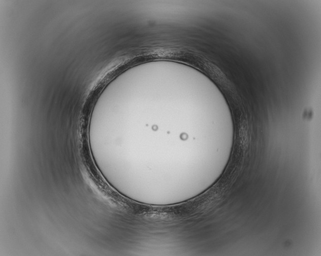 X0000114160730200911051504