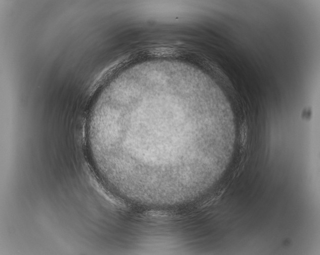 X0000114160733200911051504