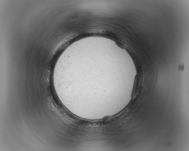 X0000114160735200911051504