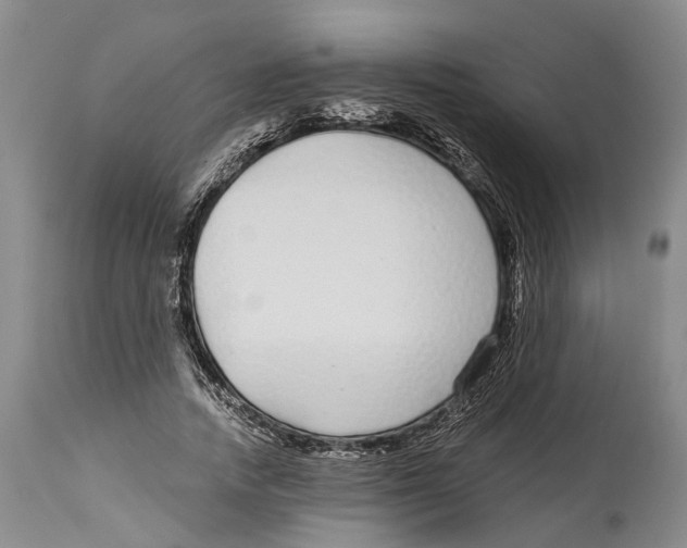 X0000114160738200911051504