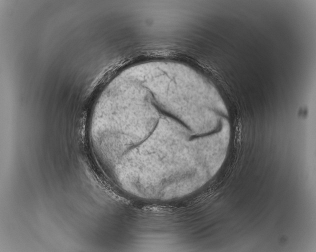 X0000114160739200911051504