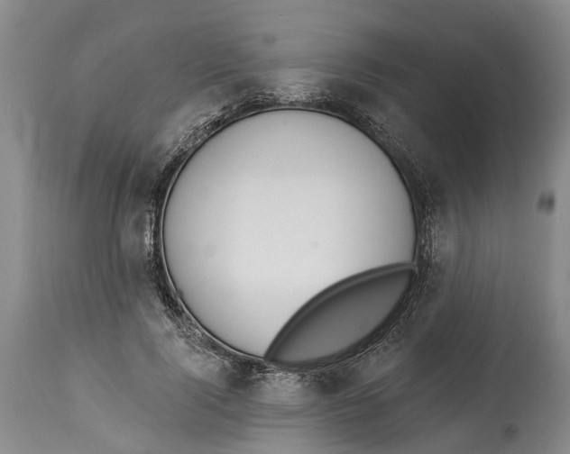 X0000114160740200911051504