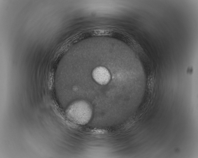 X0000114160741200911051504