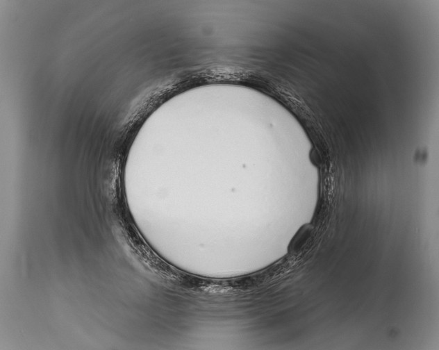 X0000114160742200911051504