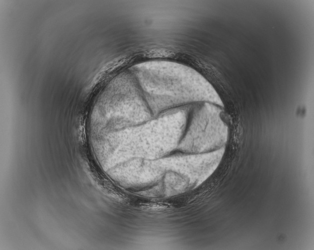 X0000114160743200911051504