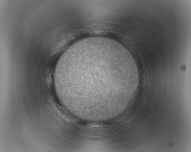 X0000114160746200911051504