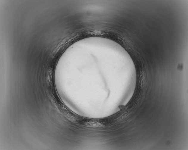 X0000114160747200911051504