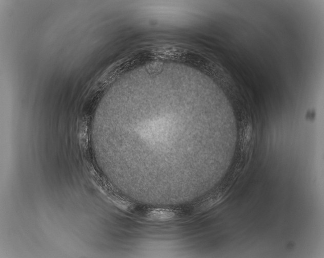 X0000114160749200911051504