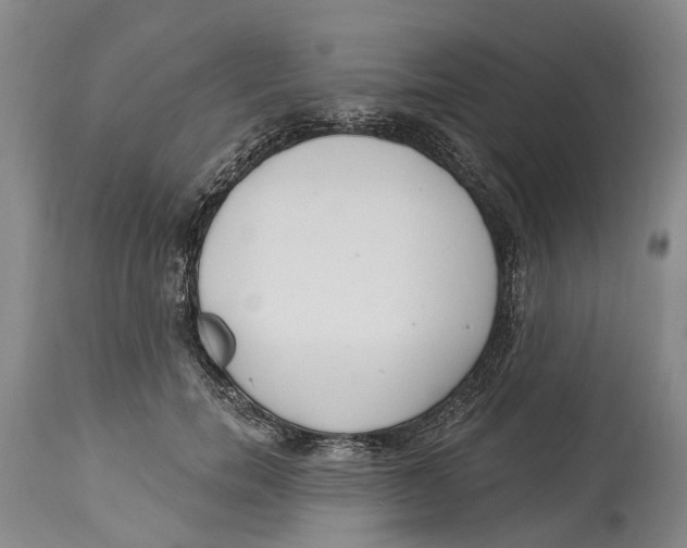 X0000114160750200911051504