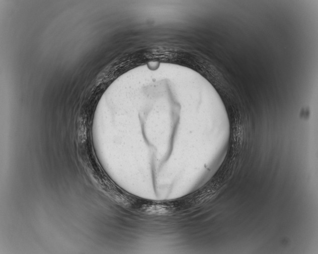 X0000114160751200911051504