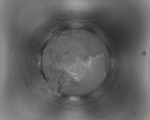 X0000114160753200911051504