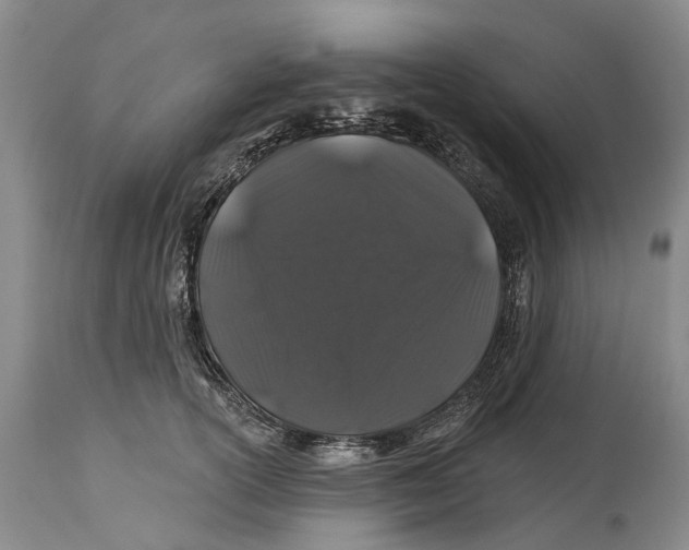 X0000114160754200911051504