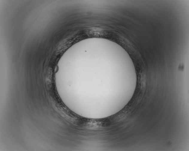 X0000114160760200911051504