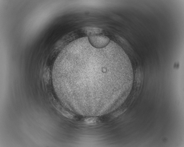 X0000114160761200911051504