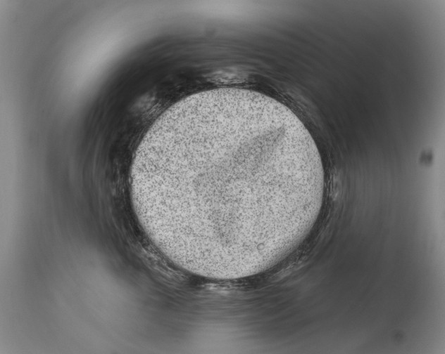 X0000114160763200911051504