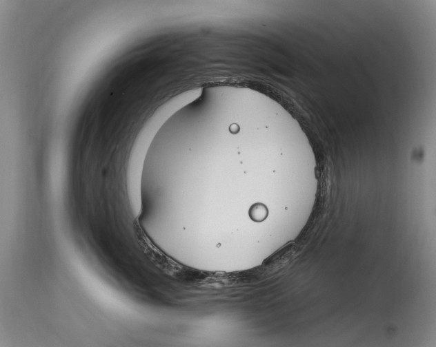 X0000114160764200911051504