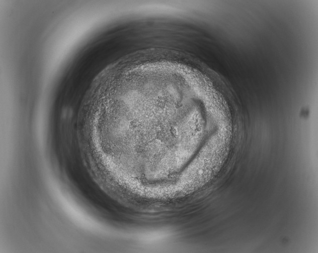 X0000114160765200911051504