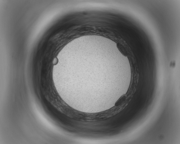 X0000114160766200911051504