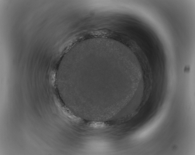 X0000114160767200911051505