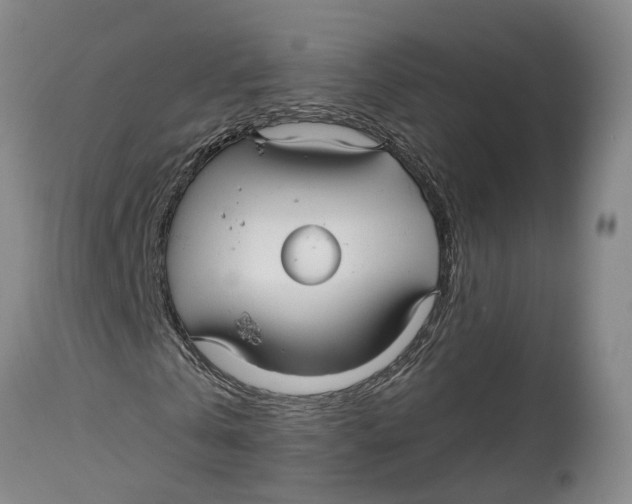 X0000114160769200911051504