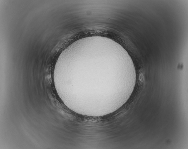 X0000114160771200911051504