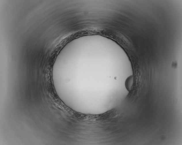 X0000114160773200911051504