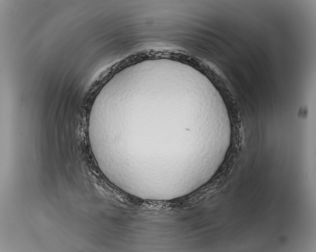 X0000114160775200911051504