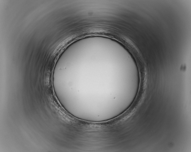 X0000114160777200911051504