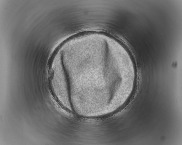 X0000114160779200911051504