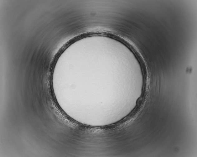 X0000114160783200911051504