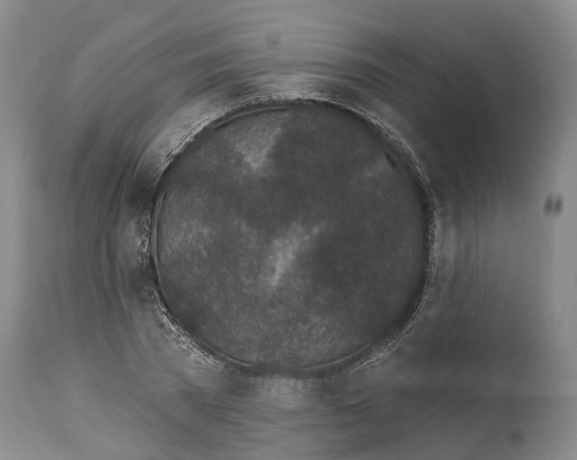 X0000114160785200911051504