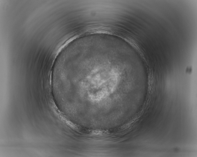 X0000114160790200911051504